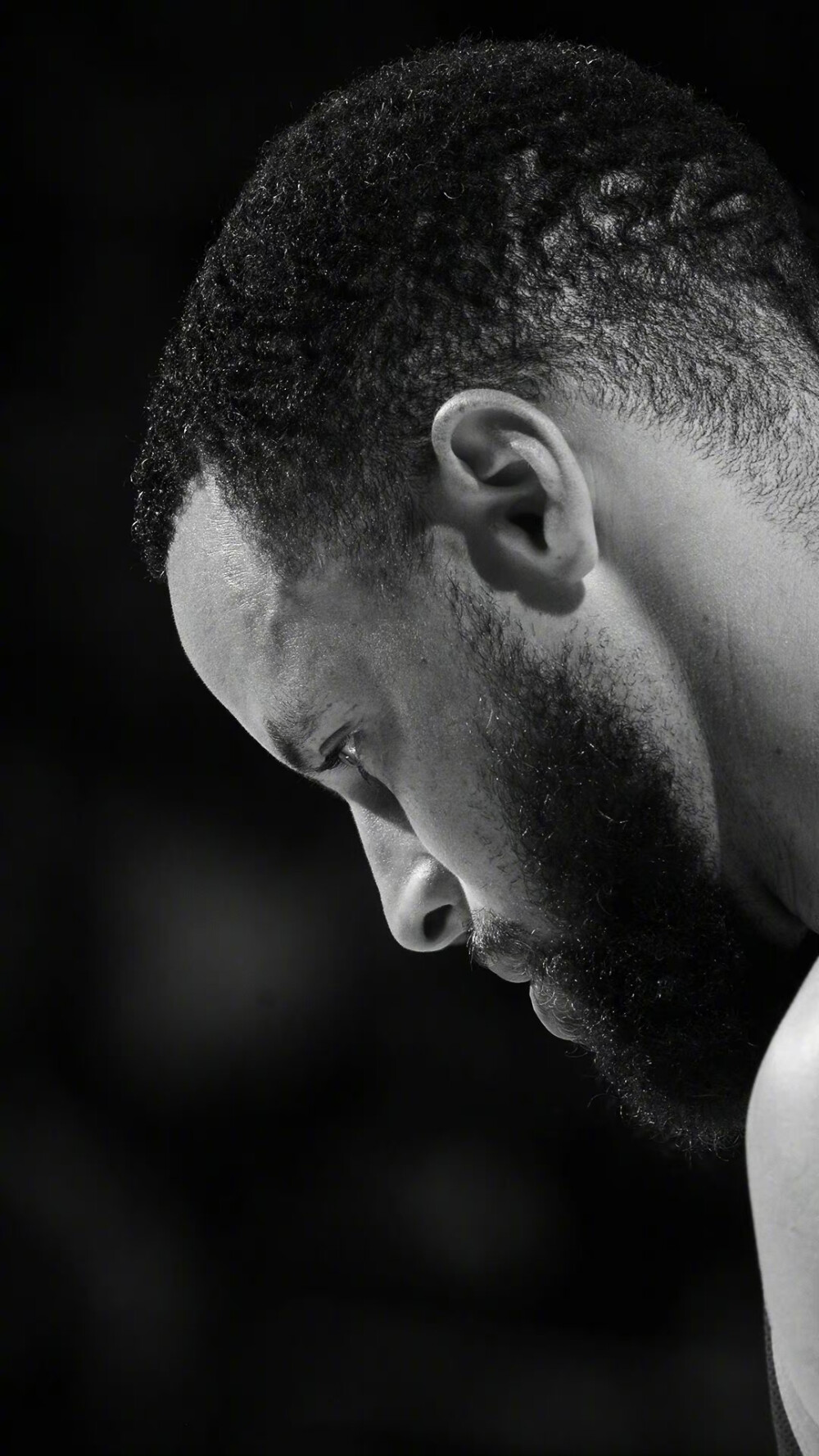 着关键作用 着关键作用