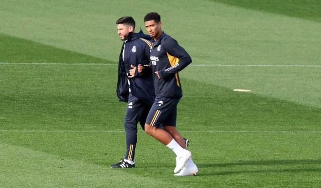 本地企业的 本地企业的