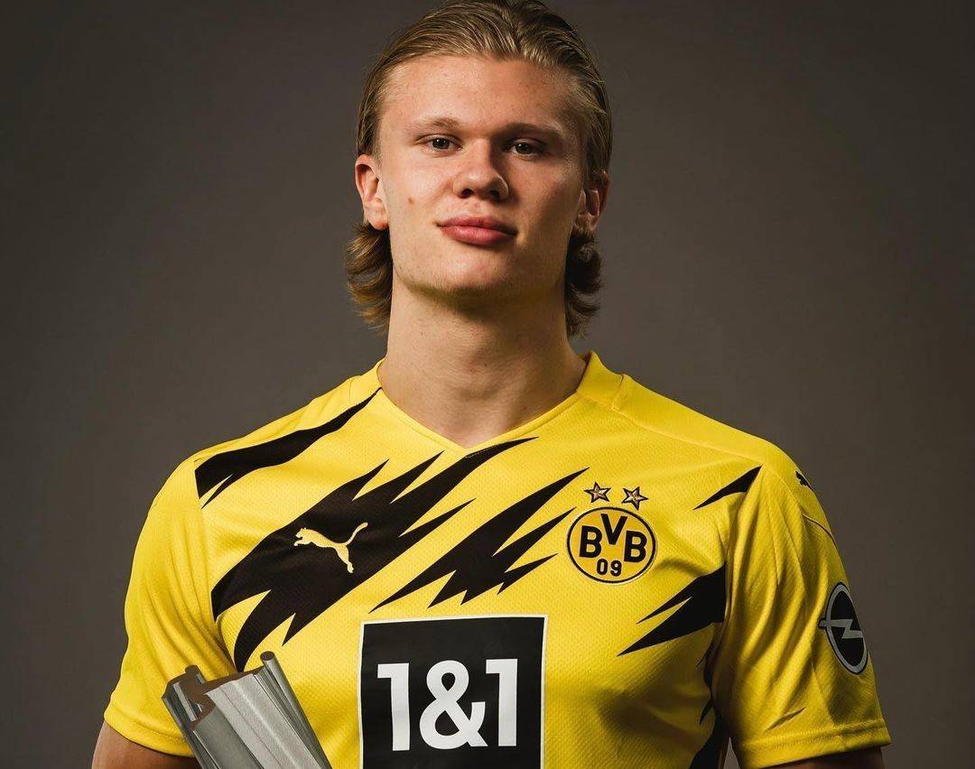 一章的巡逻 一章的巡逻